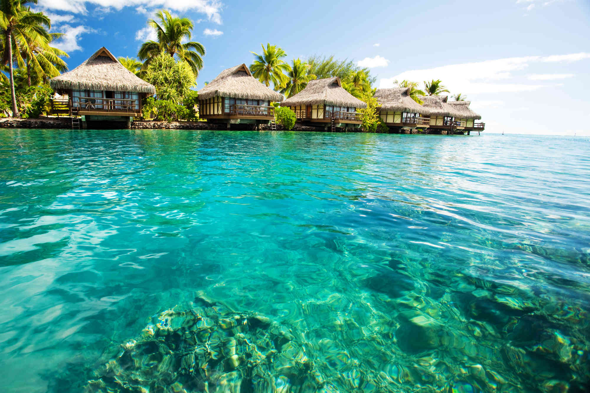 The Caribbean