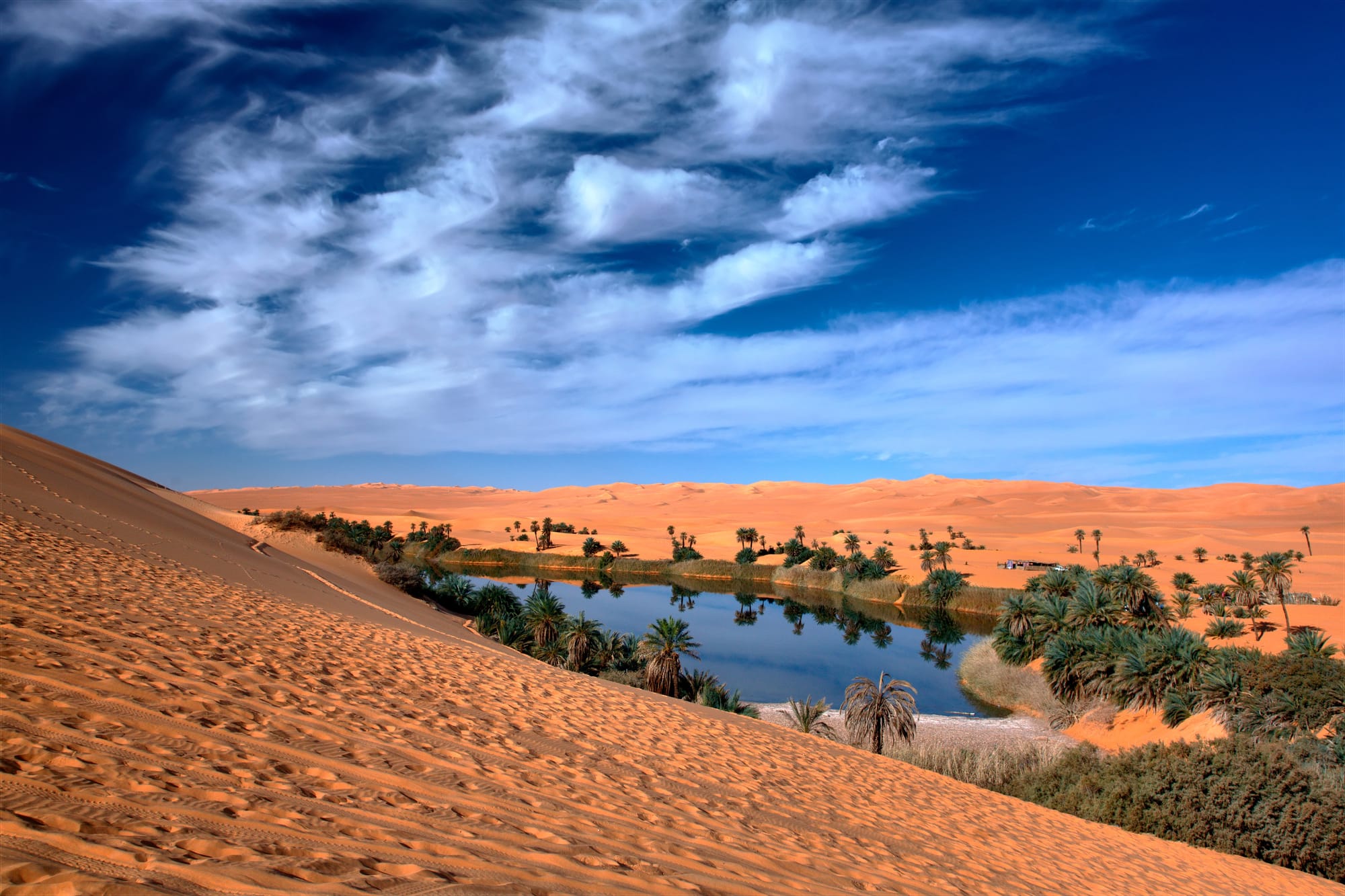 De oases van Noord-Afrika en het Midden-Oosten