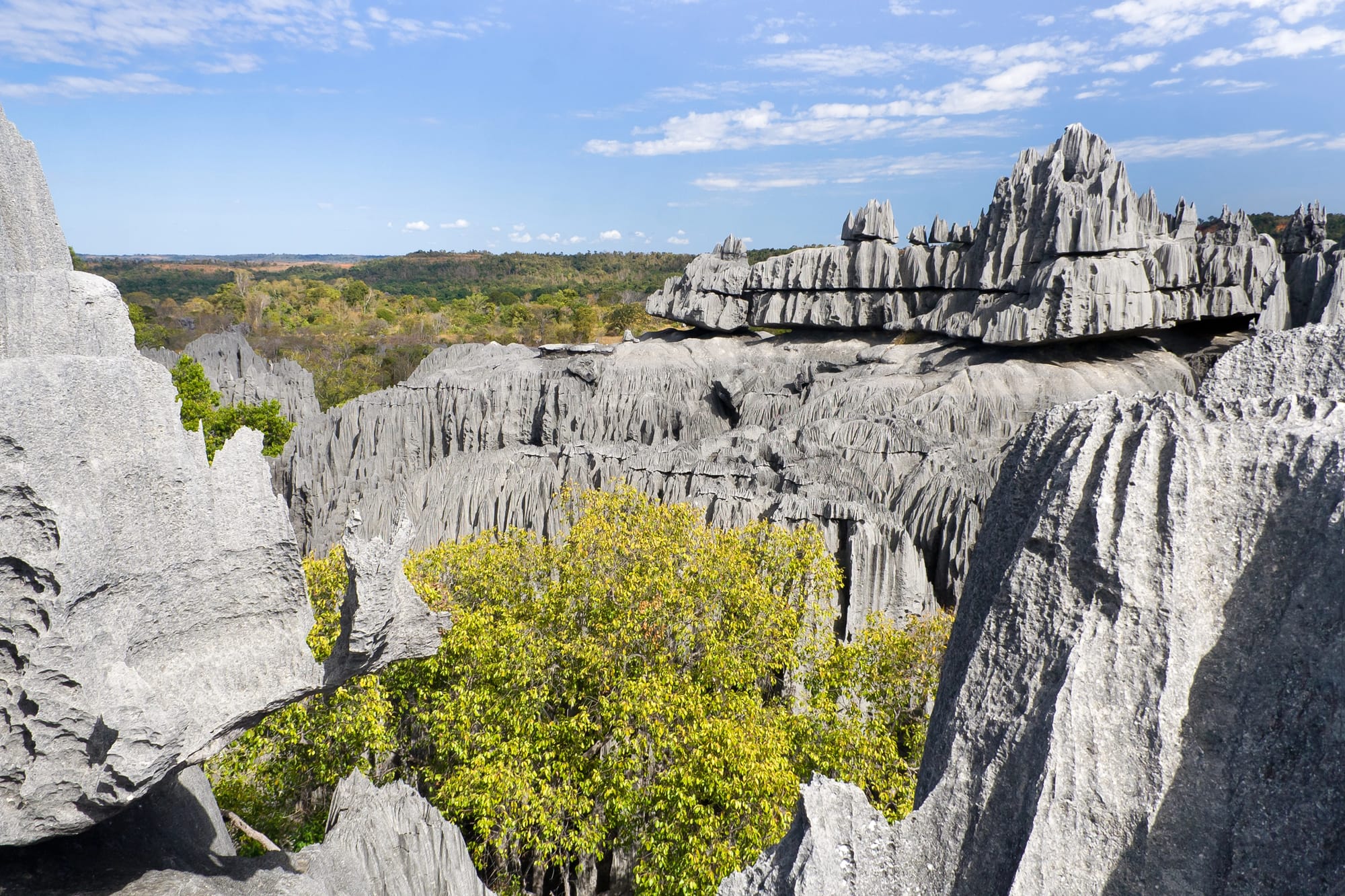 Parque Nacional Tsingy De Bemaraha