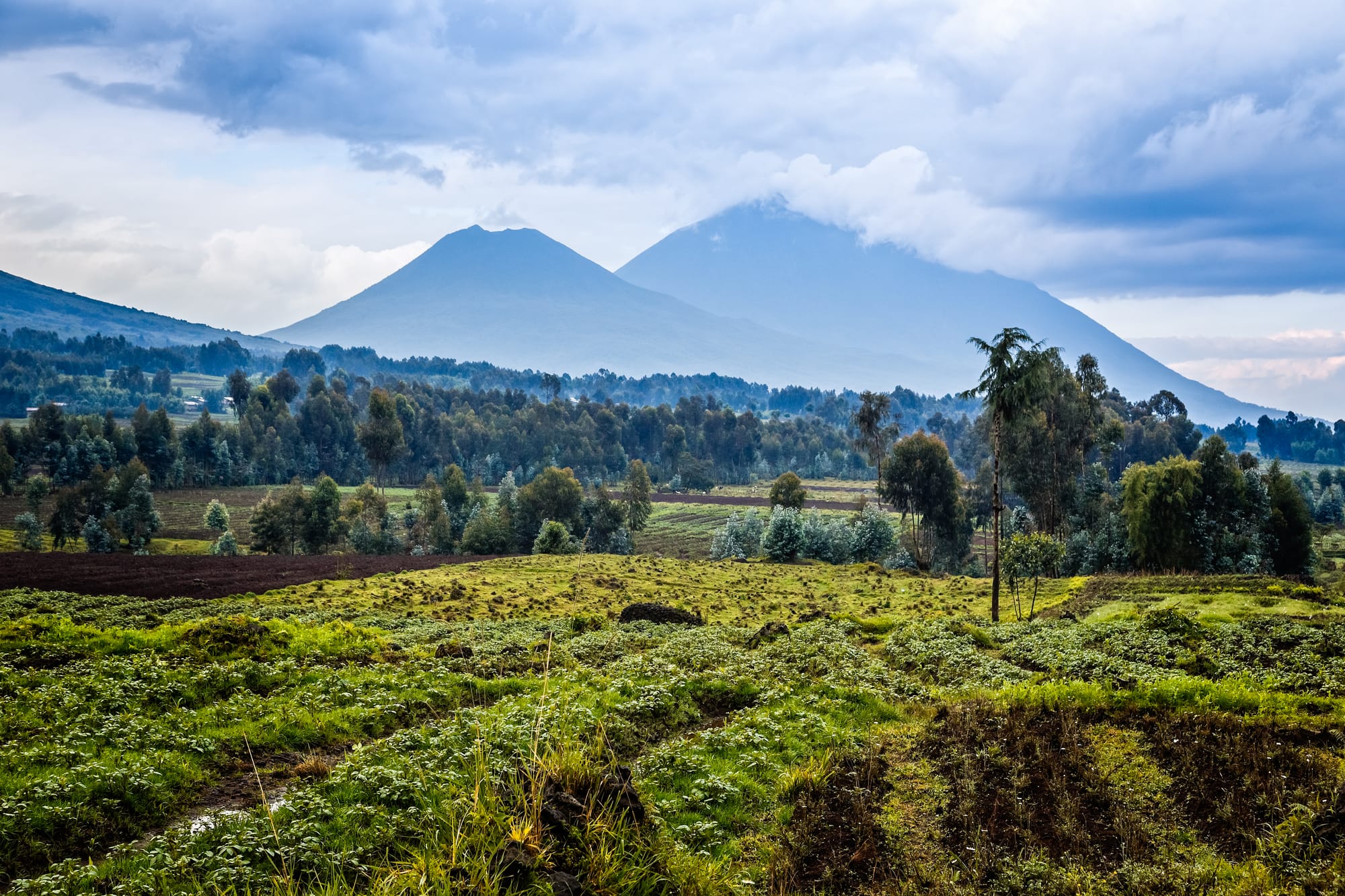Virunga Nationaal Park