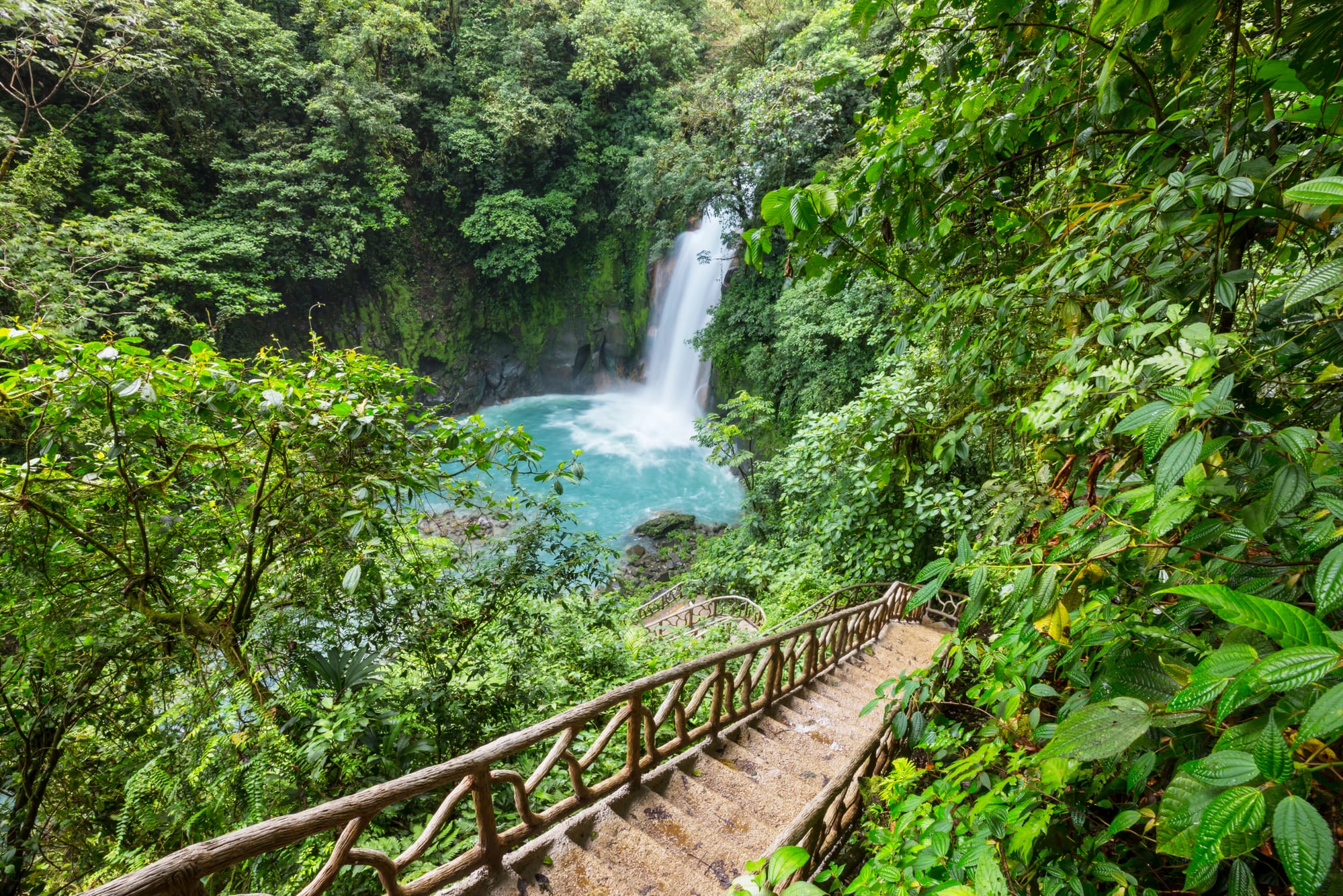 Merveilles ailées du Costa Rica