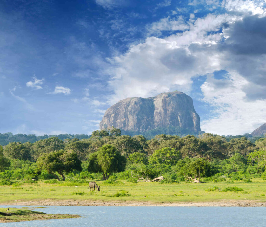 Nationalparker och deras djurliv i Sri Lanka