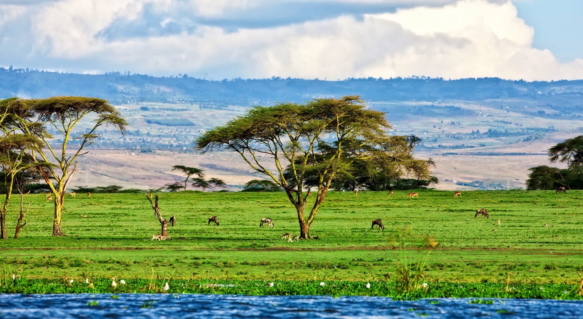Experience the Serengeti in Tanzania