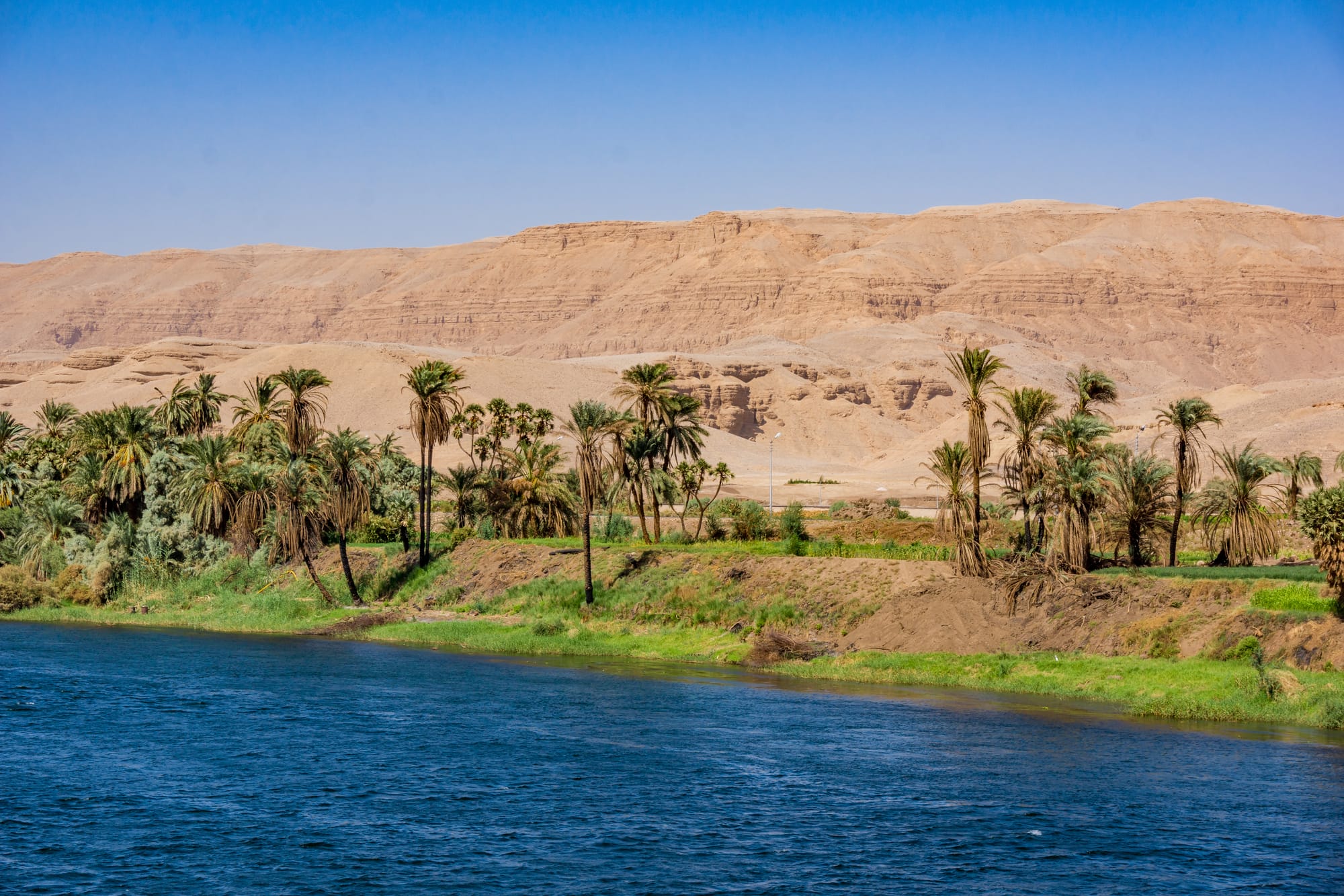 The Nil.jpg