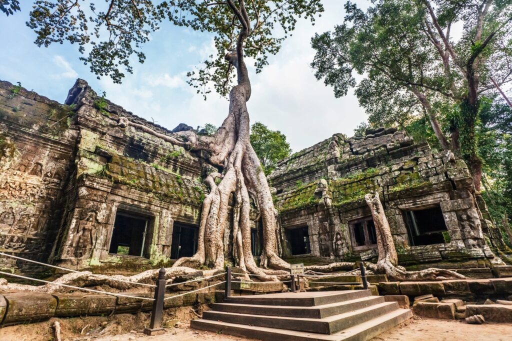 Musterin í Angkor