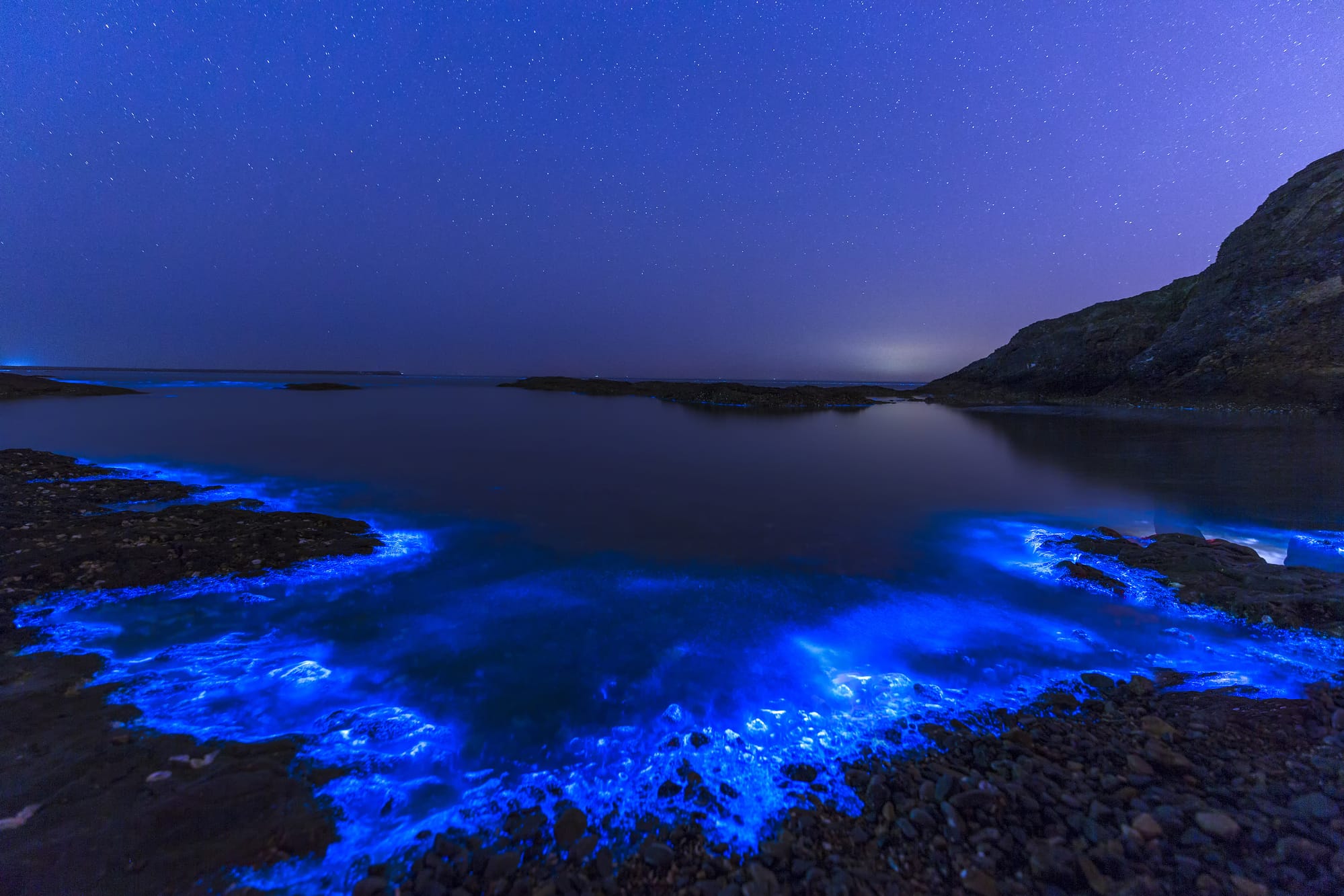 bioluminescent-places-original