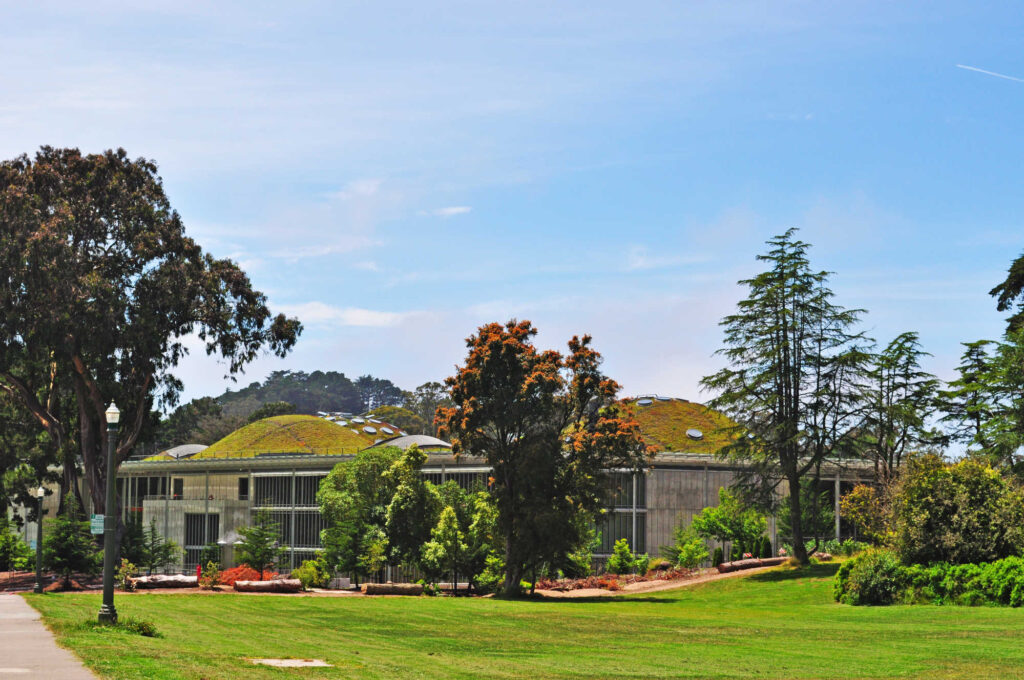 Accademia delle scienze della California