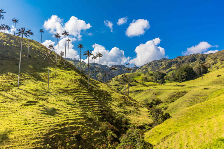 Colombia