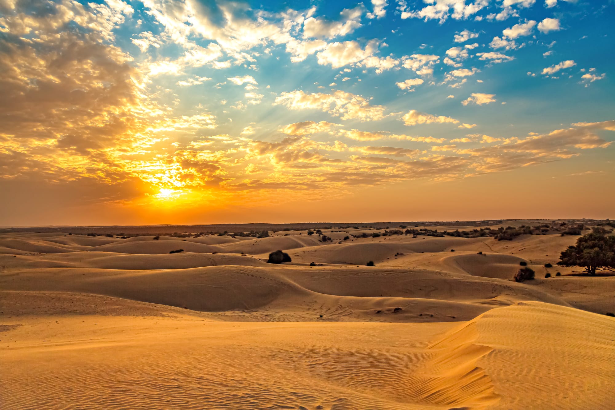 Aventuras en el desierto por la Península Arábiga