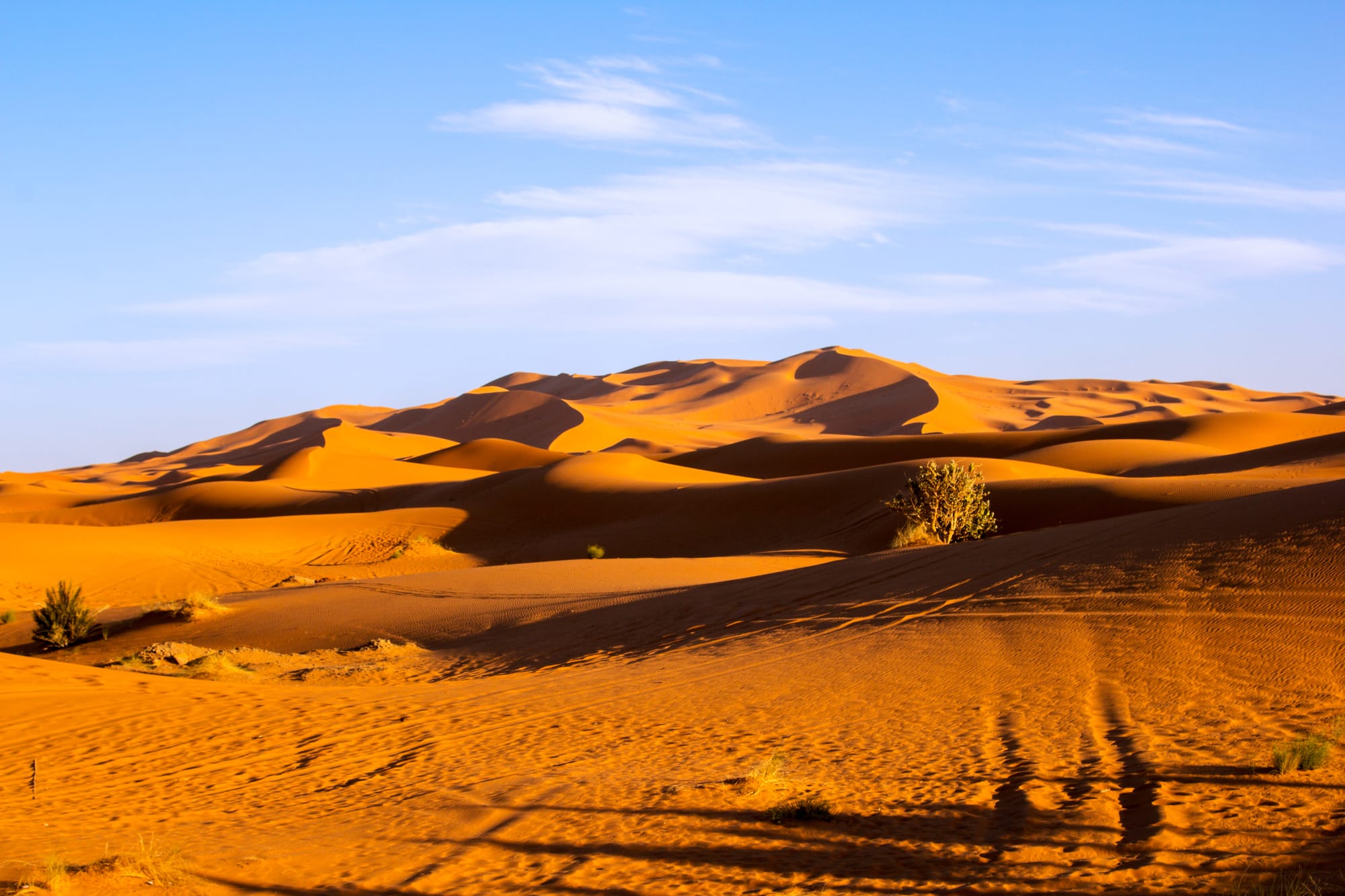 Desert Adventures in North Africa