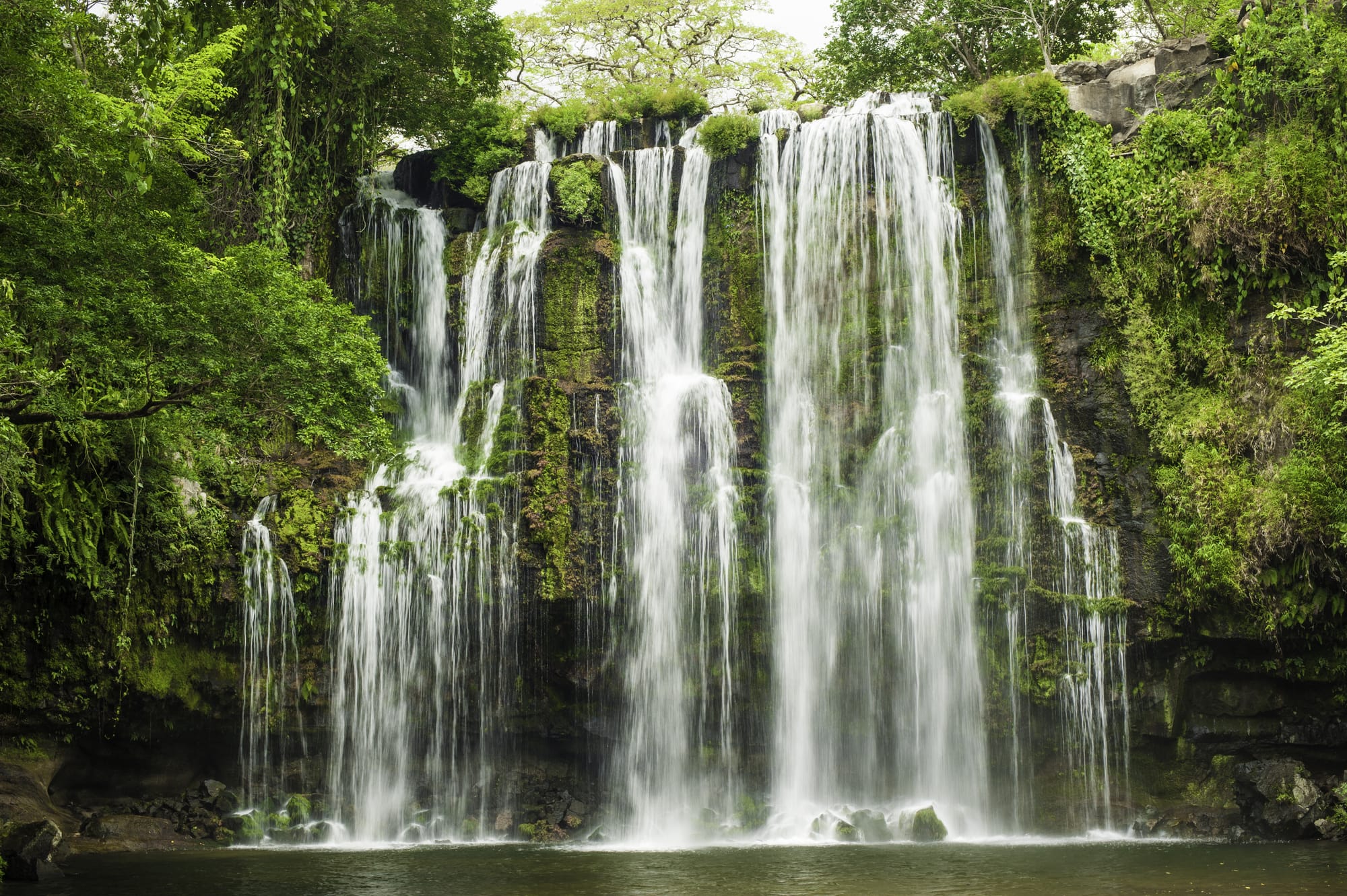 À la découverte des cascades dans les jungles du Costa Rica