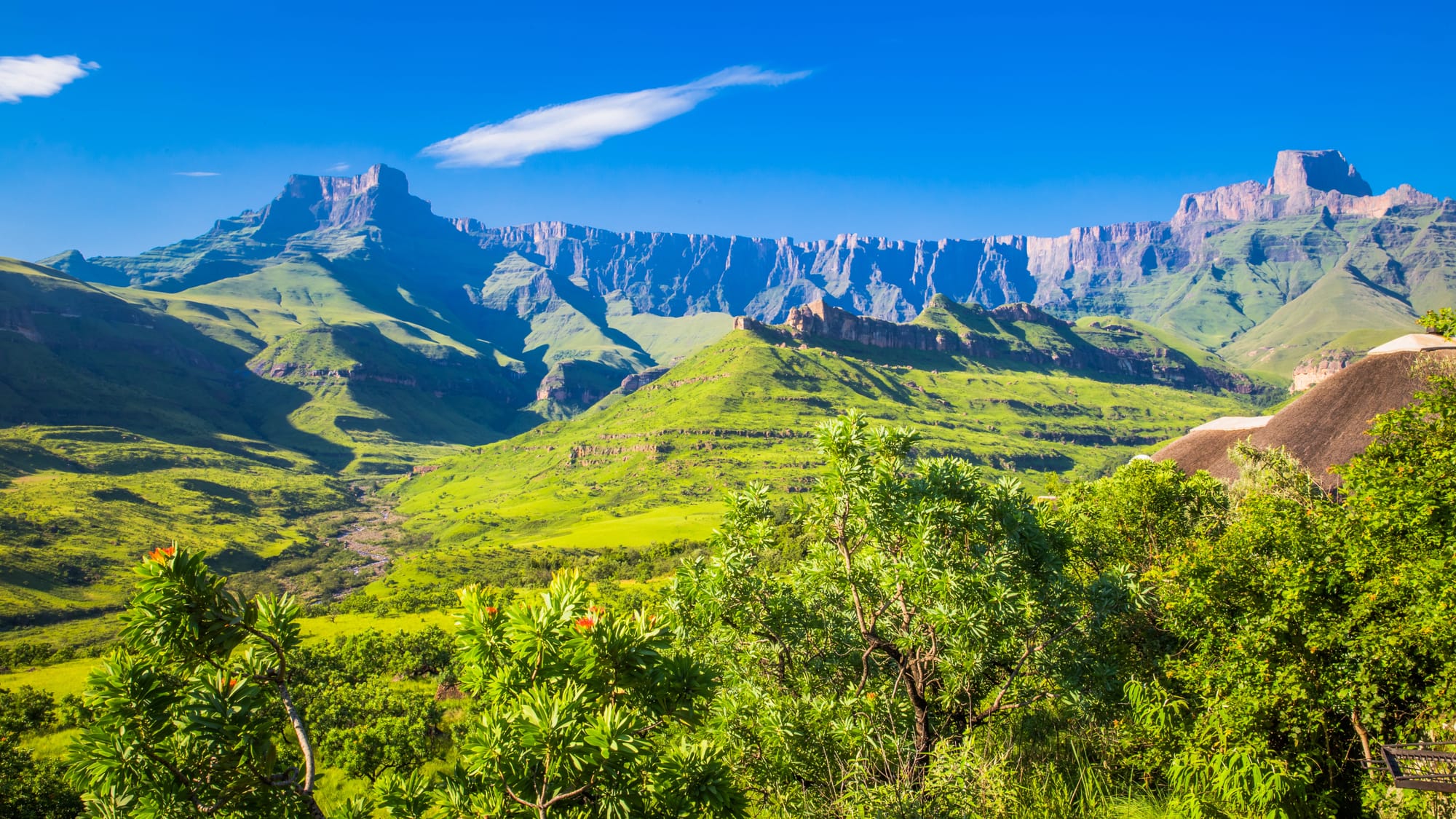 KwaZulu-Natal