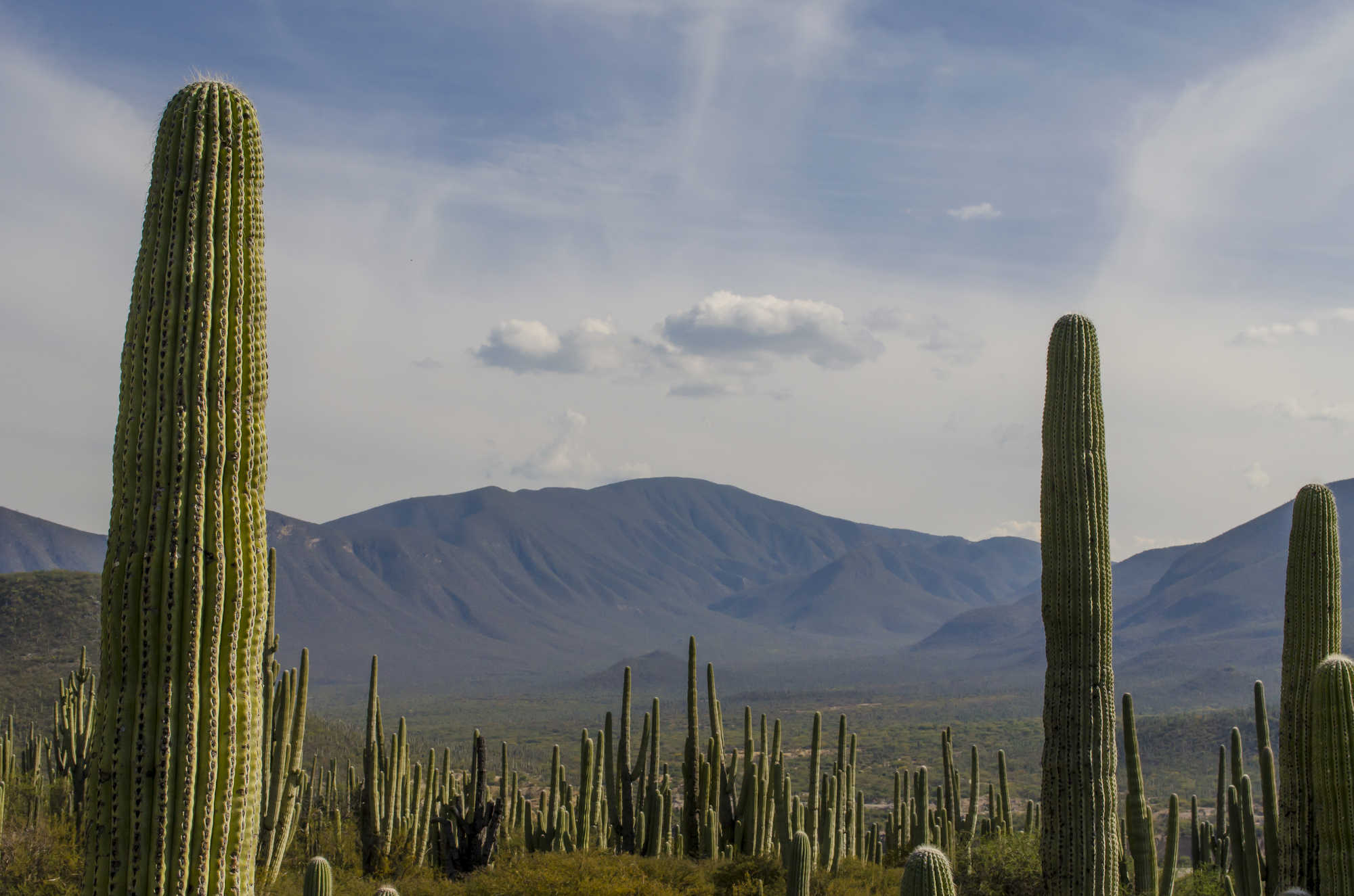 Mexico