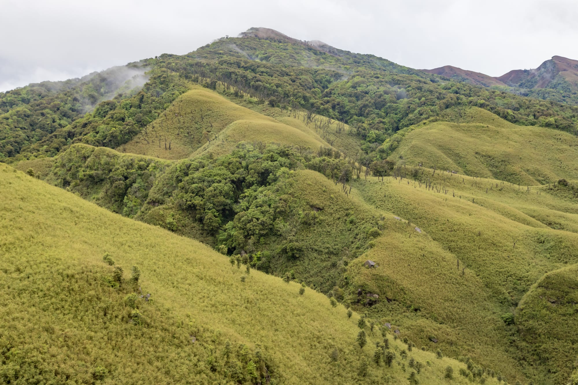 Nagaland