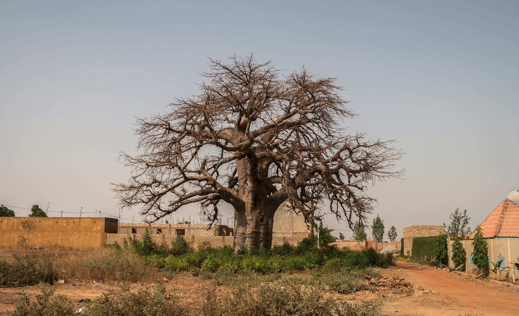 Ouagadougou