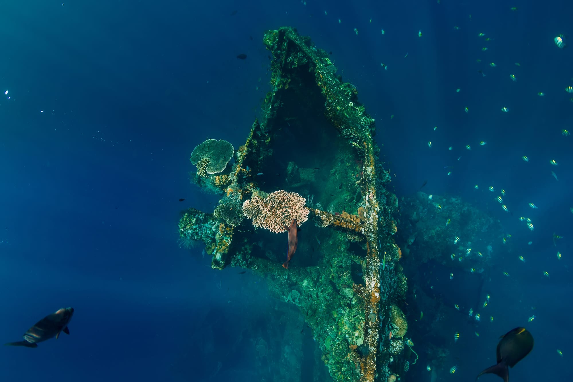 Underwater wrecks to discover in the world