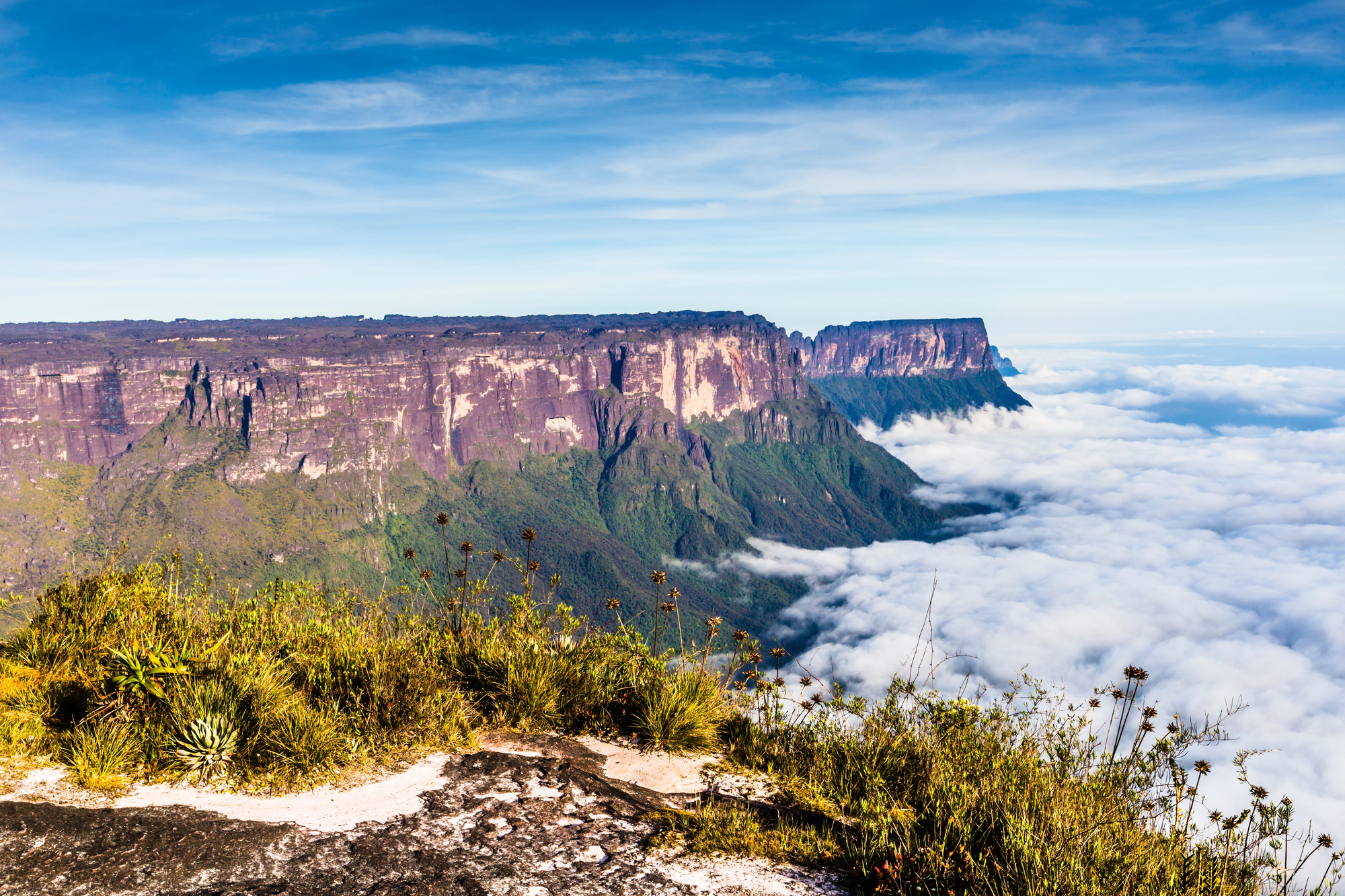 Roraima