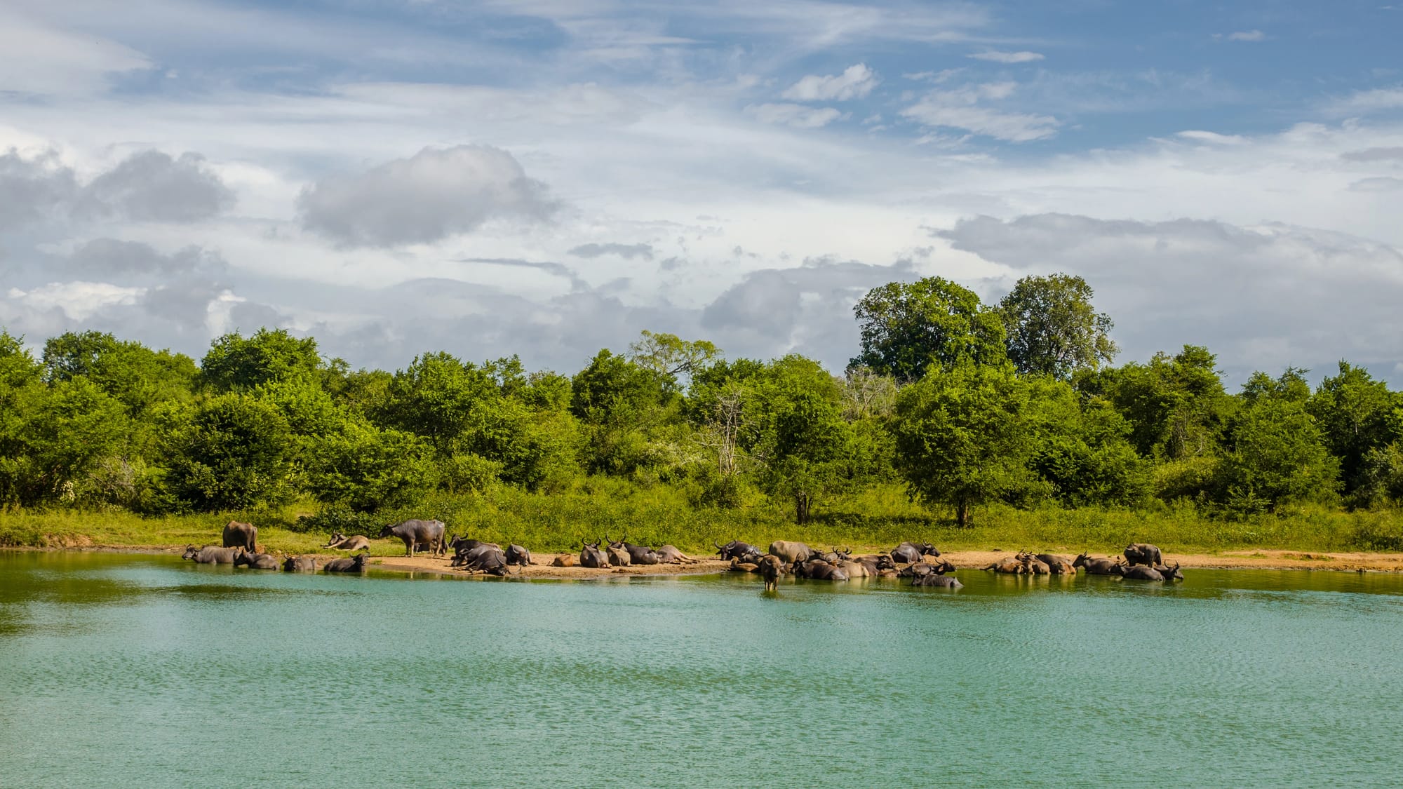 Sabaragamuwa Eyaleti