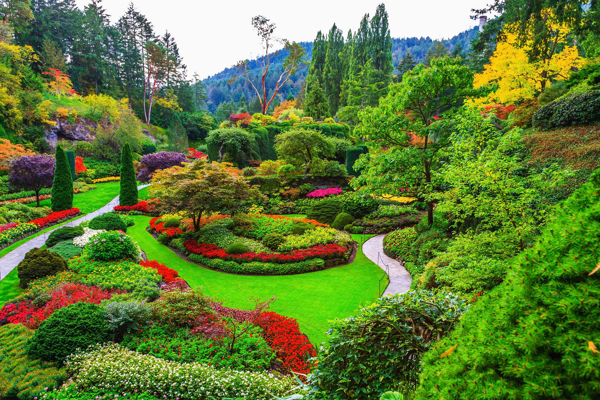 Beautiful botanical gardens across the globe