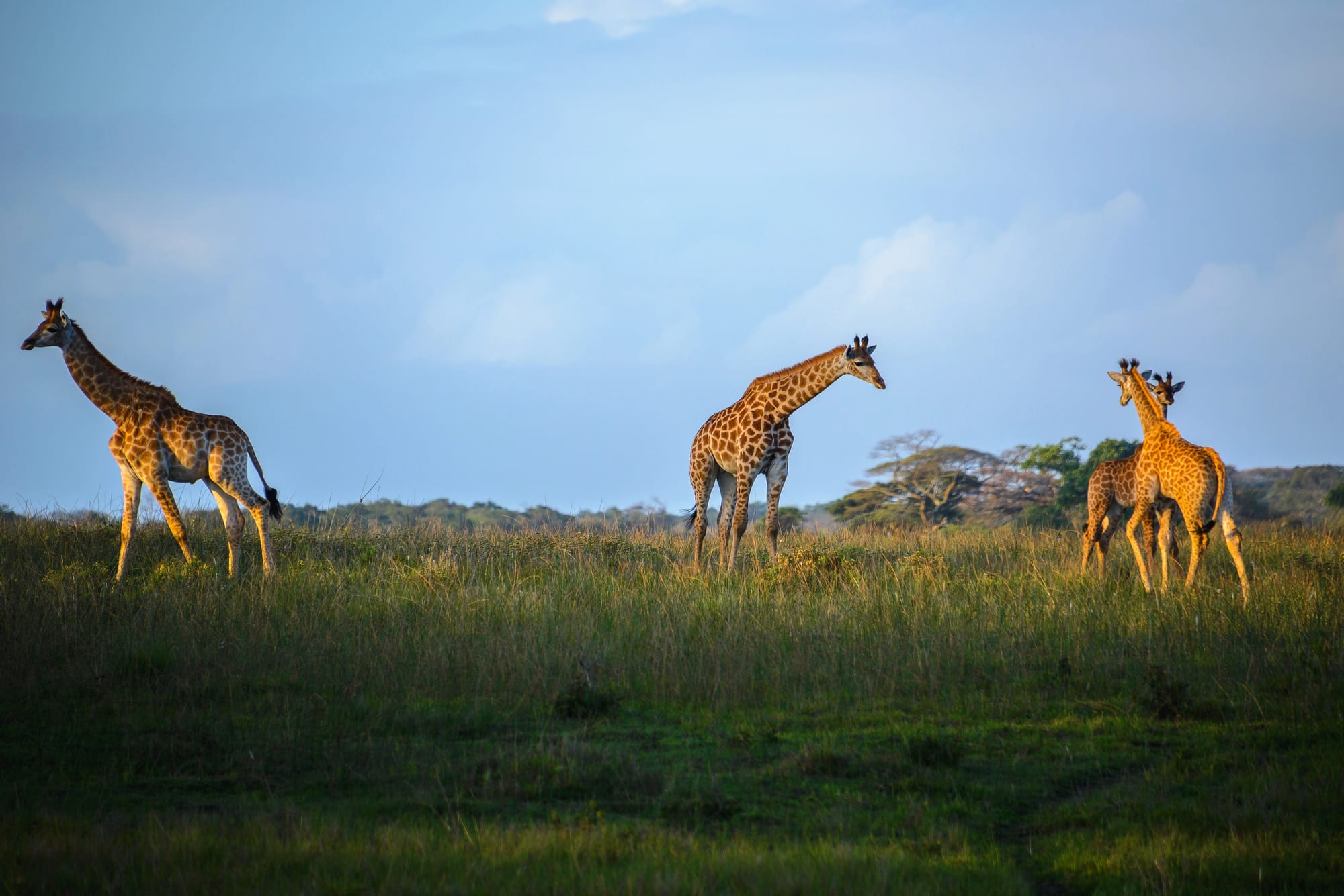 iSimangaliso Wetland Park