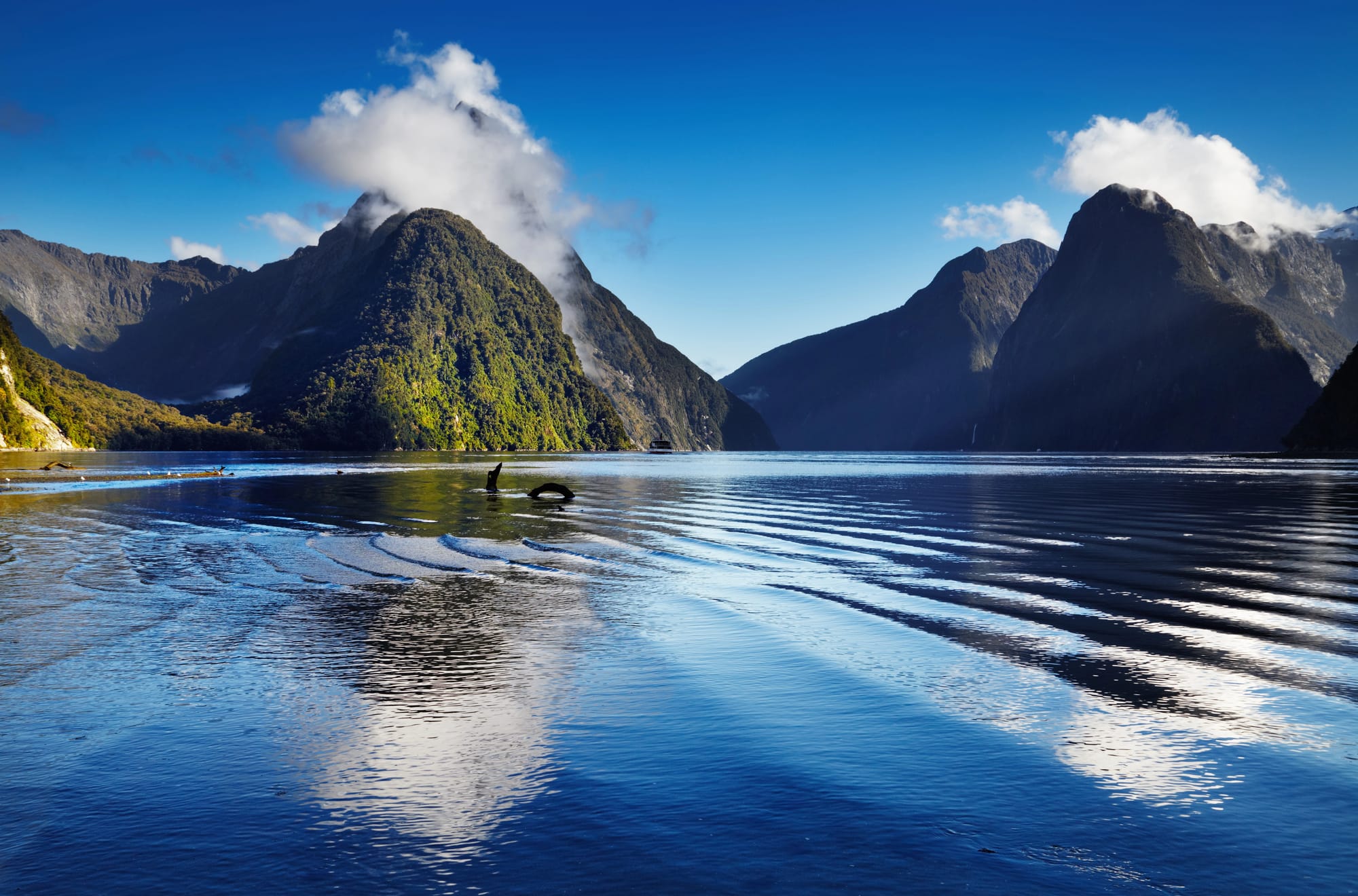 Milford Sound