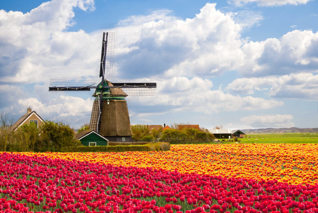 Netherlands