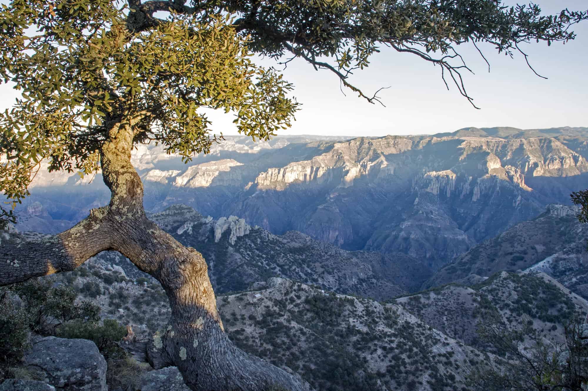 Sierra Madre Occidental