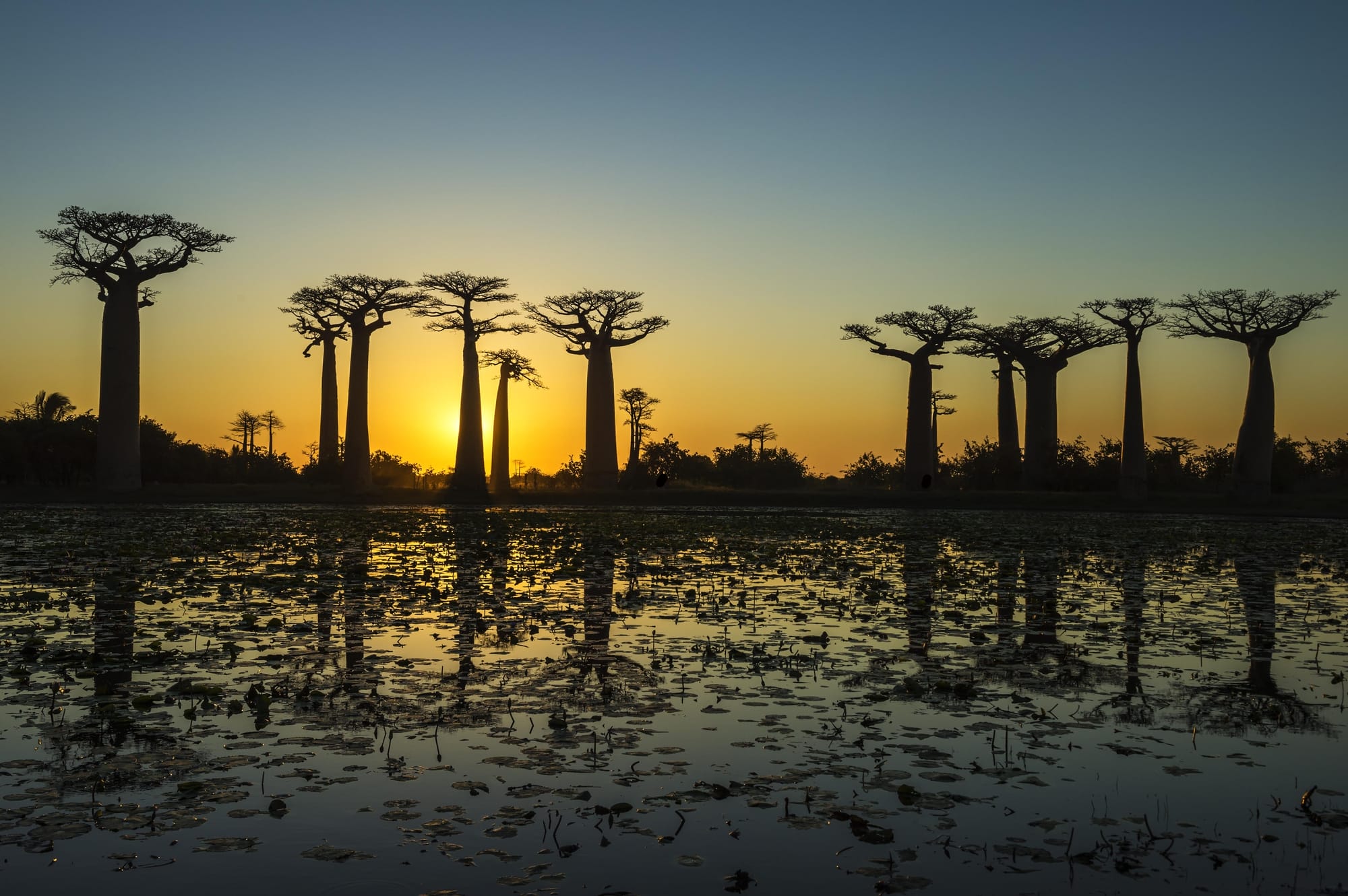 Επαρχία Τολιάρα